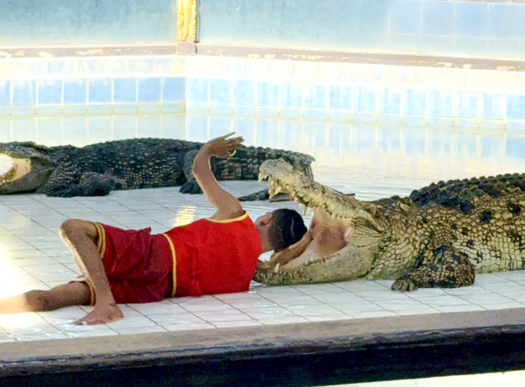 泰國北碧府一日遊｜野生動物園餵老虎獅子、看大象鱷魚表演，雨中漫步死亡鐵路＆桂河大橋 @猴屁的異想世界