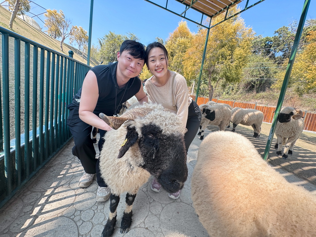 九九峰動物樂園｜南投親子景點推薦！笑笑羊、鸚鵡近距離互動，還有恐龍園區、美食街超豐富 @猴屁的異想世界