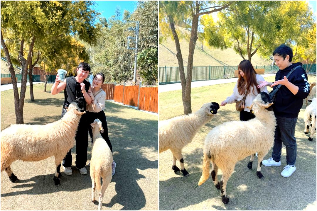 九九峰動物樂園｜南投親子景點推薦！笑笑羊、鸚鵡近距離互動，還有恐龍園區、美食街超豐富 @猴屁的異想世界