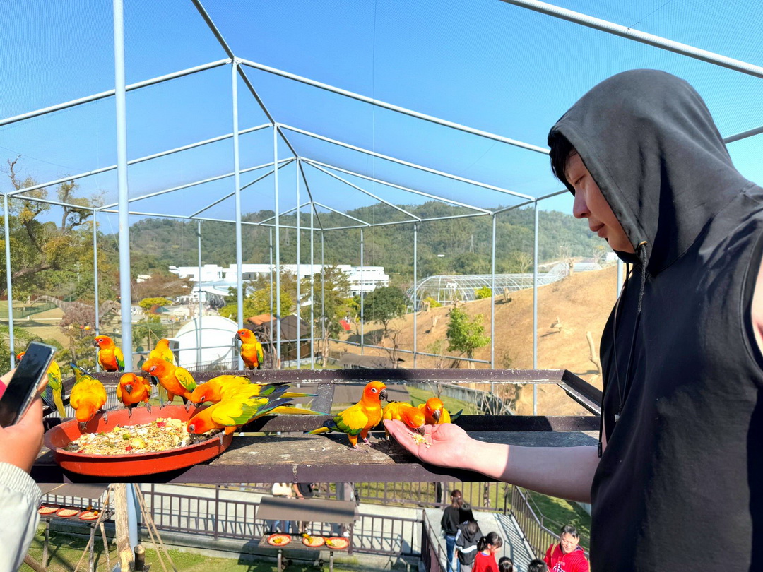 九九峰動物樂園｜南投親子景點推薦！笑笑羊、鸚鵡近距離互動，還有恐龍園區、美食街超豐富 @猴屁的異想世界