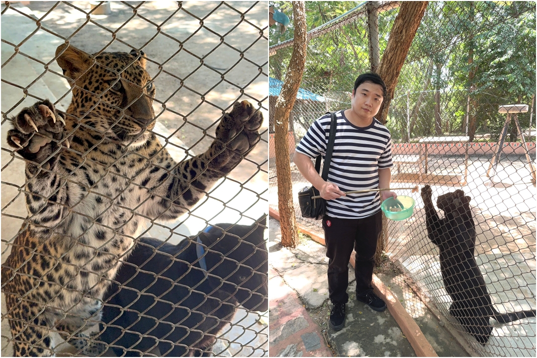泰國北碧府一日遊｜野生動物園餵老虎獅子、看大象鱷魚表演，雨中漫步死亡鐵路＆桂河大橋 @猴屁的異想世界