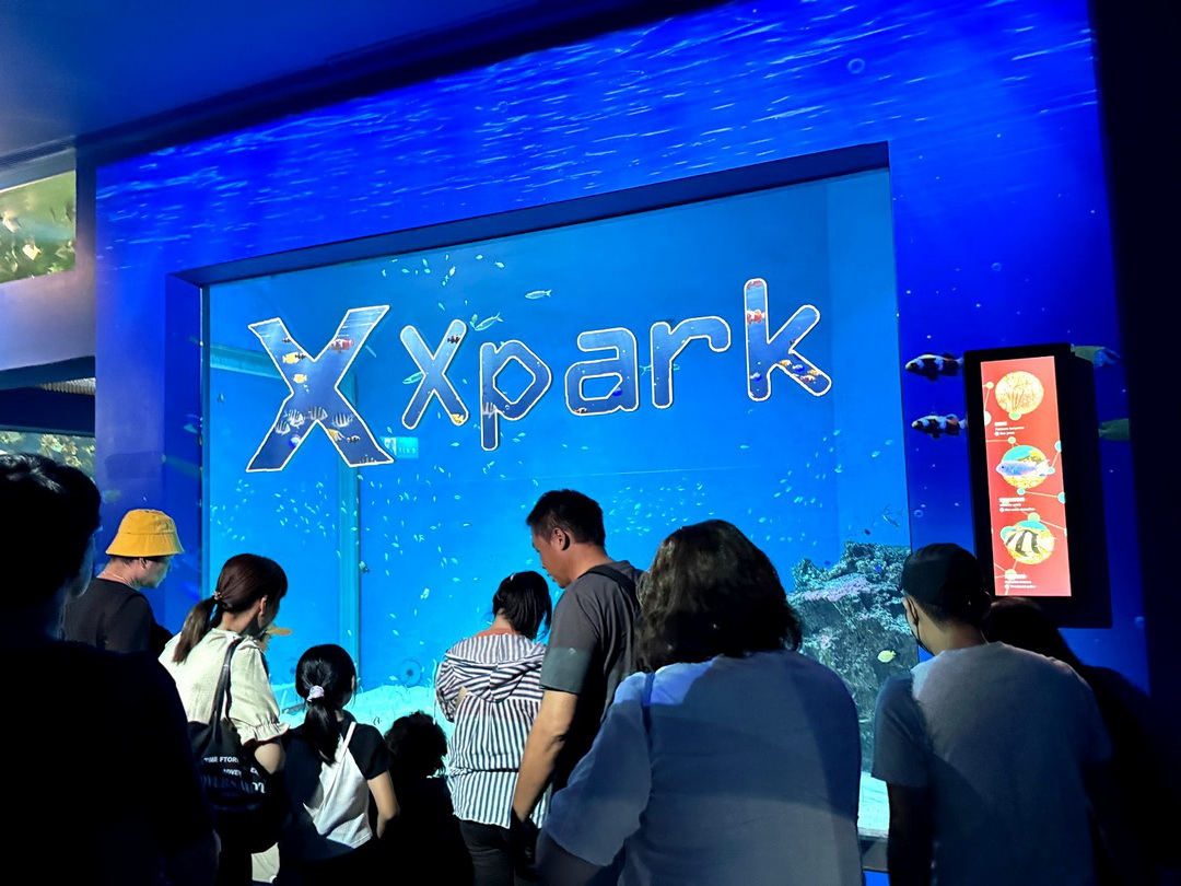 Xpark水族館｜桃園必訪水族館，企鵝奇遇、戶外園區、表演時間全攻略 @猴屁的異想世界
