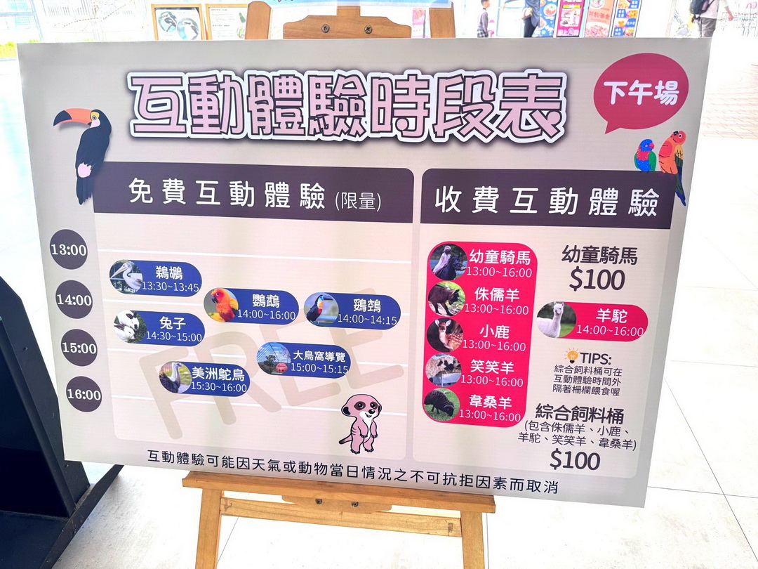九九峰動物樂園｜南投親子景點推薦！笑笑羊、鸚鵡近距離互動，還有恐龍園區、美食街超豐富 @猴屁的異想世界
