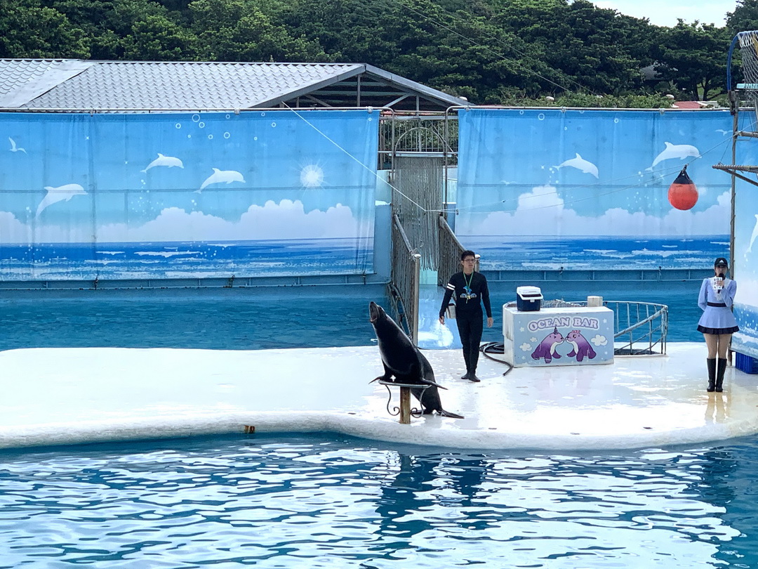 野柳海洋世界｜北海岸親子必玩景點，海獅海豚表演＋門票資訊全攻略 @猴屁的異想世界