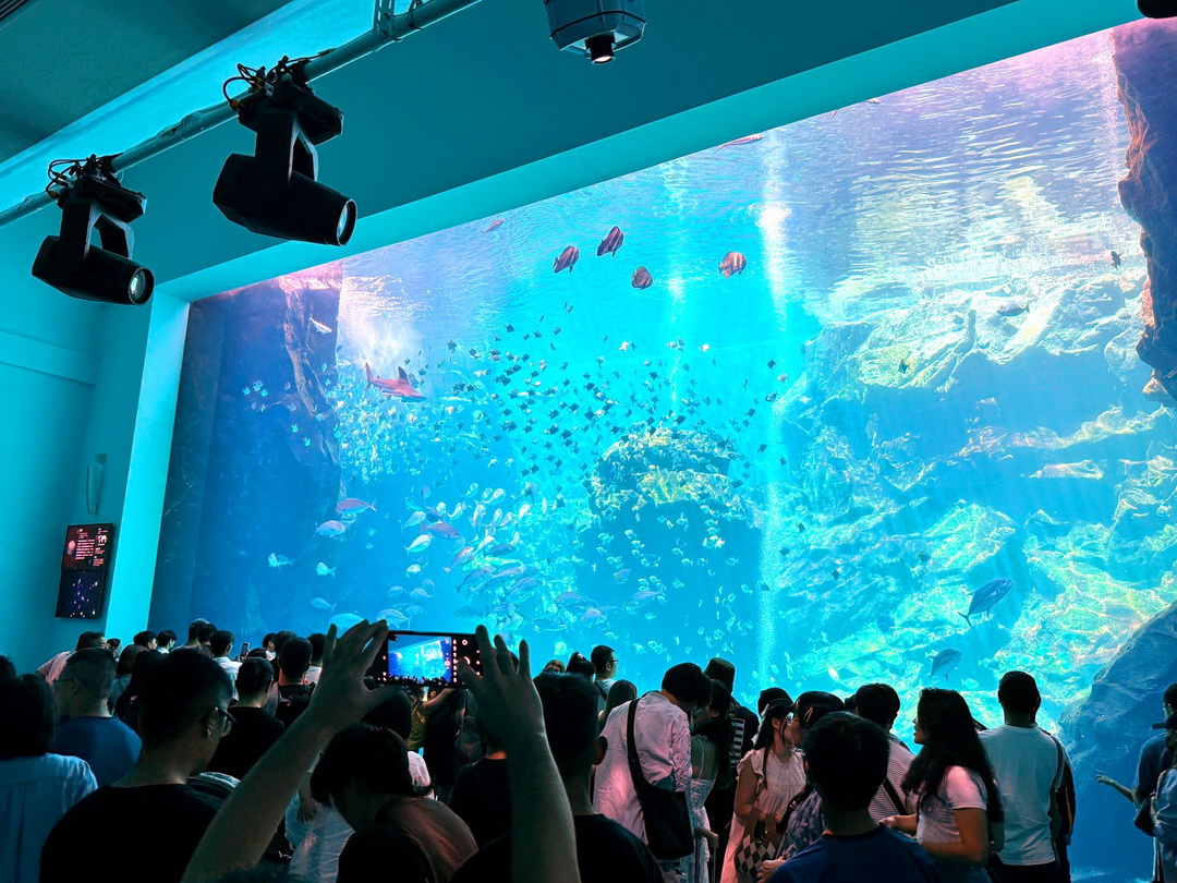 Xpark水族館｜桃園必訪水族館，企鵝奇遇、戶外園區、表演時間全攻略 @猴屁的異想世界