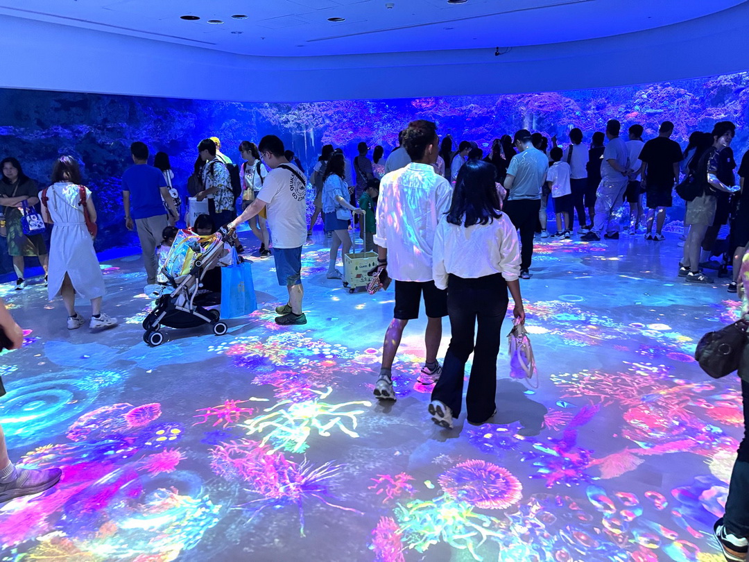 Xpark水族館｜桃園必訪水族館，企鵝奇遇、戶外園區、表演時間全攻略 @猴屁的異想世界
