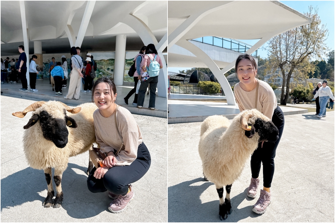 九九峰動物樂園｜南投親子景點推薦！笑笑羊、鸚鵡近距離互動，還有恐龍園區、美食街超豐富 @猴屁的異想世界