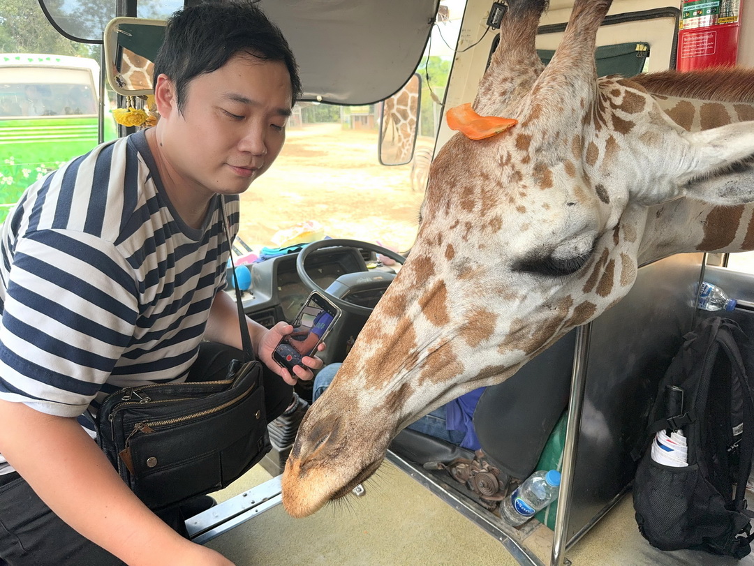 泰國北碧府一日遊｜野生動物園餵老虎獅子、看大象鱷魚表演，雨中漫步死亡鐵路＆桂河大橋 @猴屁的異想世界