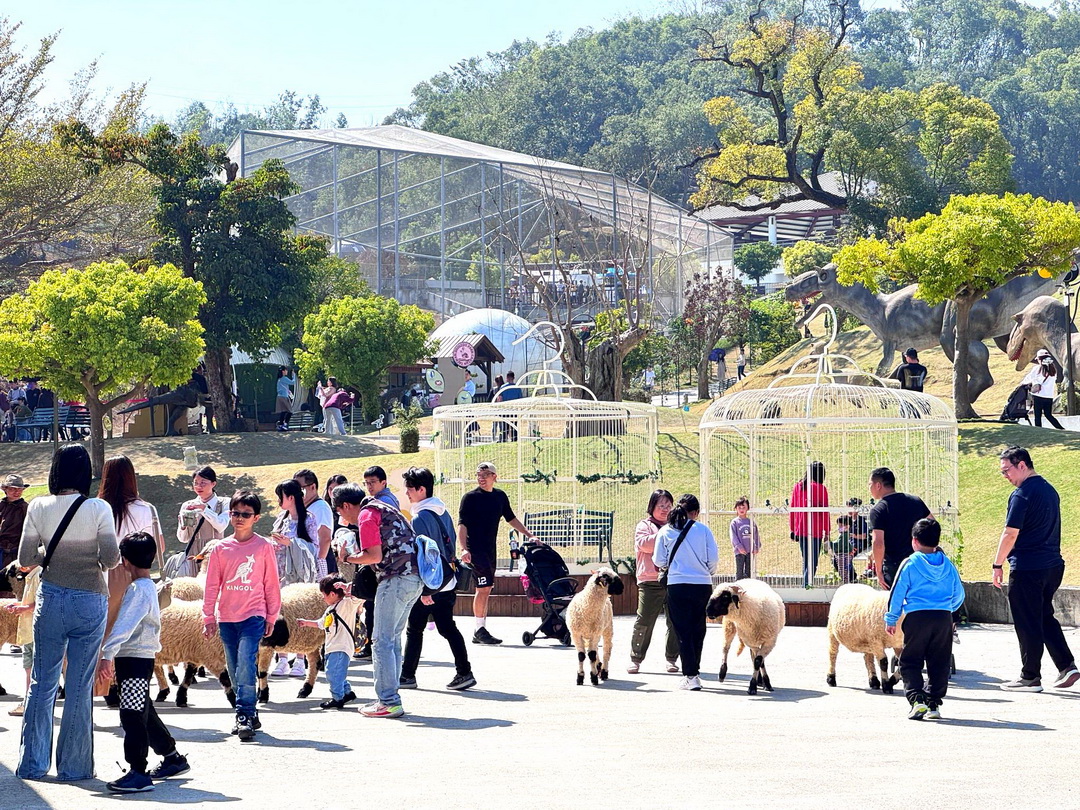 九九峰動物樂園｜南投親子景點推薦！笑笑羊、鸚鵡近距離互動，還有恐龍園區、美食街超豐富 @猴屁的異想世界