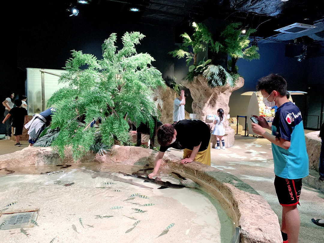 沖繩DMM Kariyushi水族館｜沉浸式互動體驗，企鵝、海底隧道、動物園全攻略 @猴屁的異想世界