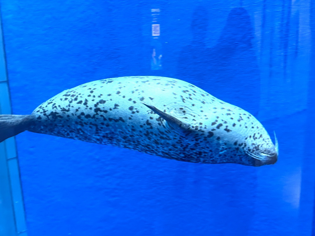 Xpark水族館｜桃園必訪水族館，企鵝奇遇、戶外園區、表演時間全攻略 @猴屁的異想世界