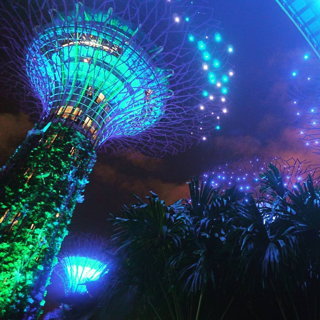 新加坡自由行｜10個新加坡必去景點，魚尾獅公園、環球影城、聖淘沙空中纜車、Super tree @猴屁的異想世界
