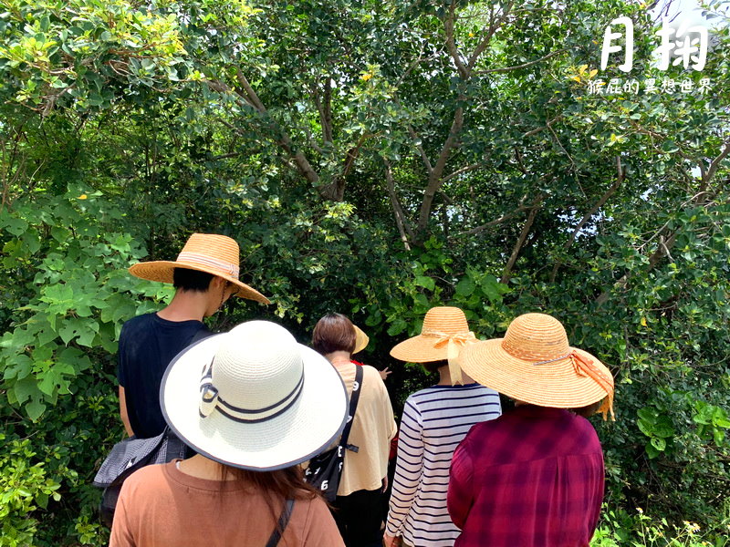 小琉球民宿套裝行程｜食尚玩家推薦小琉球月掬民宿兩天一夜套裝行程，有包來回船票和機車，小琉球浮潛看海龜好好玩，小琉球潮間帶好有趣 @猴屁的異想世界