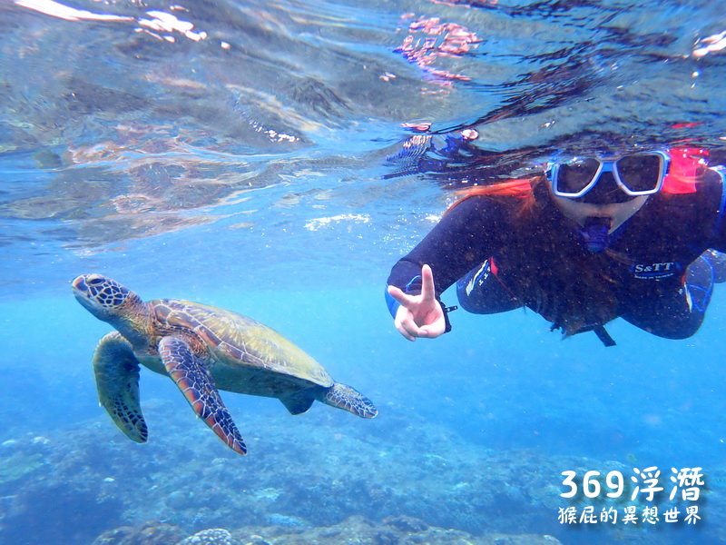 小琉球369浮潛店｜小琉球冬天海龜更多浮潛更好玩，有專業教練帶你去跟海龜拍照抓魚 @猴屁的異想世界