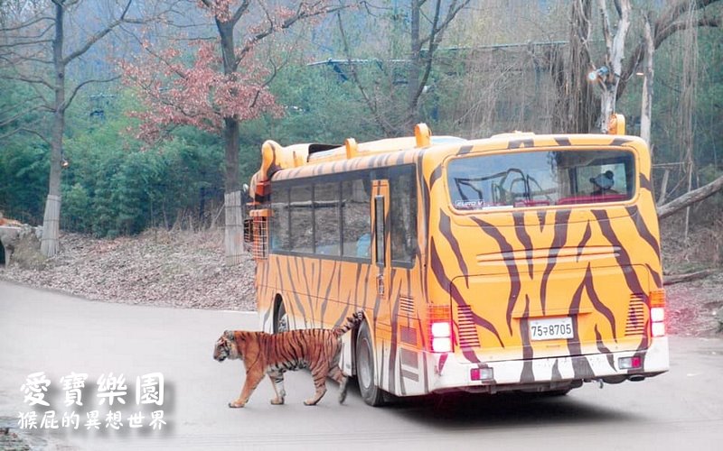 愛寶樂園｜韓國首爾景點推薦，愛寶樂園快速通關免排隊，遺失的峽谷、野生動物世界超精彩必玩 @猴屁的異想世界