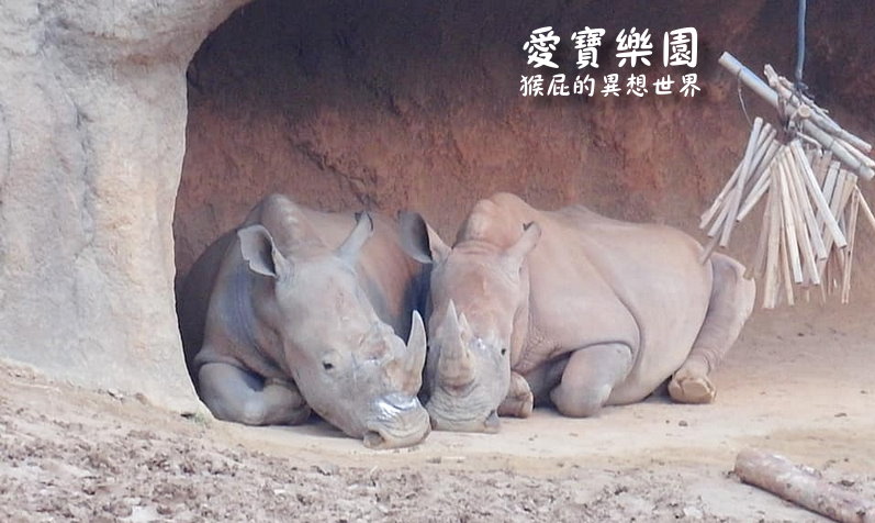 愛寶樂園｜韓國首爾景點推薦，愛寶樂園快速通關免排隊，遺失的峽谷、野生動物世界超精彩必玩 @猴屁的異想世界