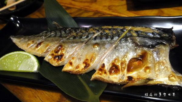 阿國海鮮燒烤小鋪｜永和平價美味居酒屋，竟然有賣羊肉爐、鹽烤超大魷魚好吃 @猴屁的異想世界