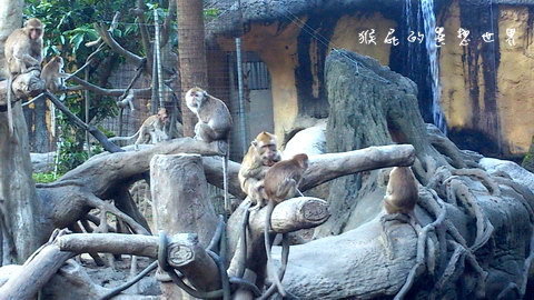 木柵動物園｜台北景點推薦，充滿驚奇的木柵動物園一日遊 @猴屁的異想世界