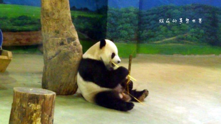 木柵動物園｜台北景點推薦，充滿驚奇的木柵動物園一日遊 @猴屁的異想世界