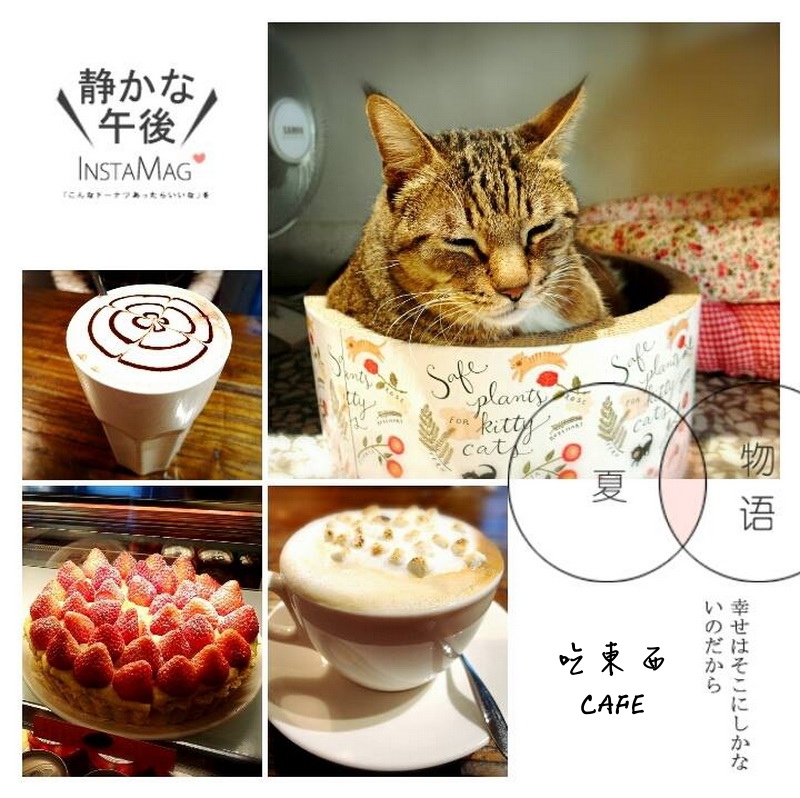 【台中美食】吃東西cafe！文青的最愛老宅改造咖啡廳！有可愛貓咪、有WIFI！