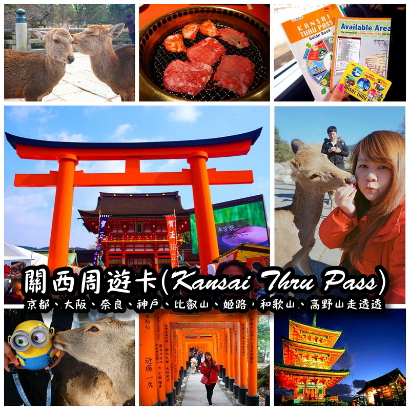 【日本旅遊】日本自由行之關西周遊卡(Kansai Thru Pass)，地鐵、巴士都可無限乘坐！方便快速又省時！大阪、奈良、京都交通攻略！京都伏見稻荷大社、清水寺、花見小路，奈良梅花鹿！另外神戶、比叡山、姬路，和歌山、高野山也可走透透！還可搭乘關西機場的南海電車！